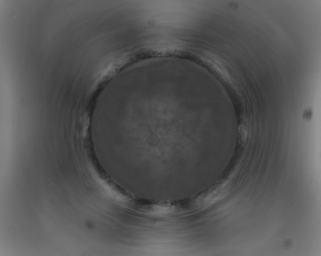 X0000092030458200709271612