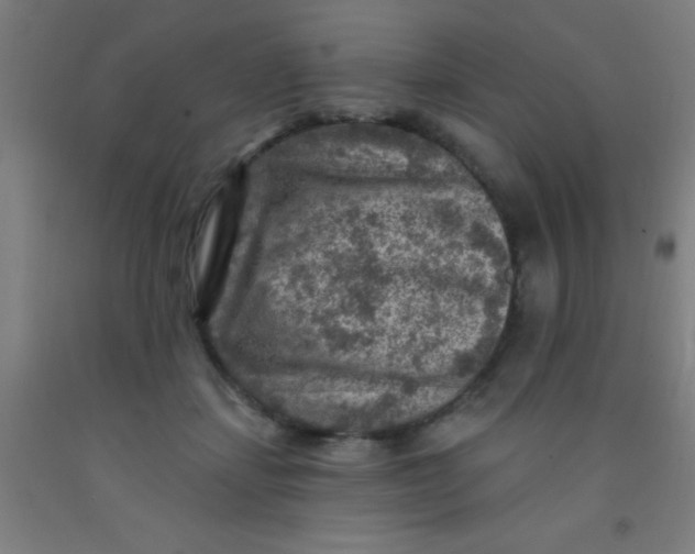 X0000092030459200709271612