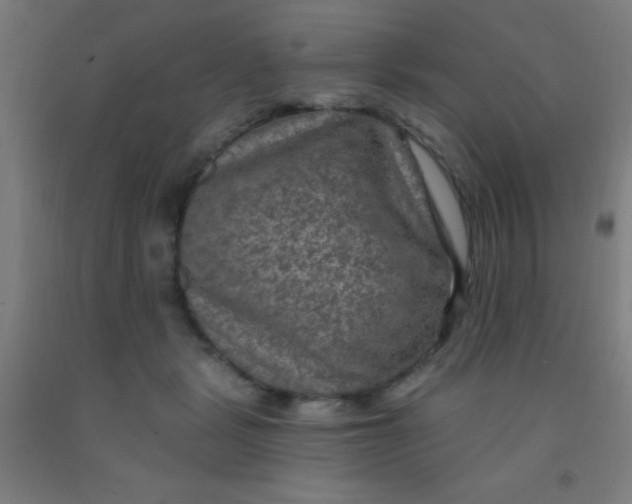 X0000092030461200709271612