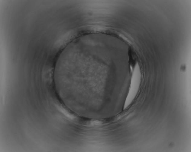 X0000092030462200709271612