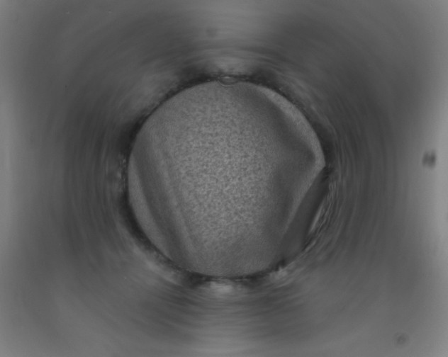 X0000092030464200709271612