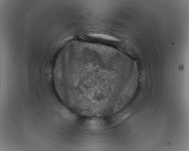 X0000092030466200709271612