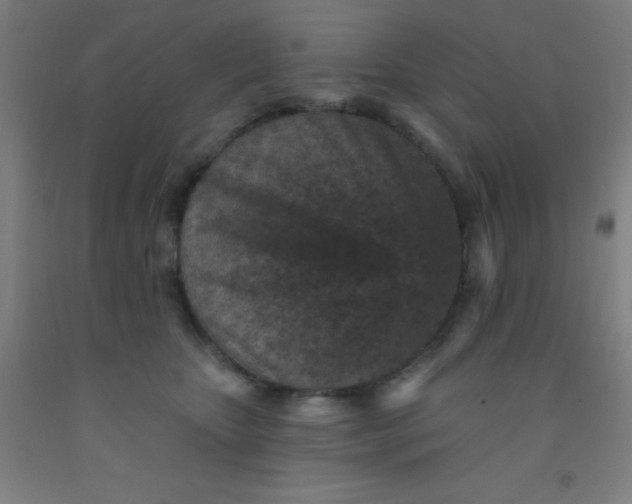 X0000092030467200709271612