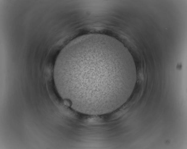 X0000092030468200709271612