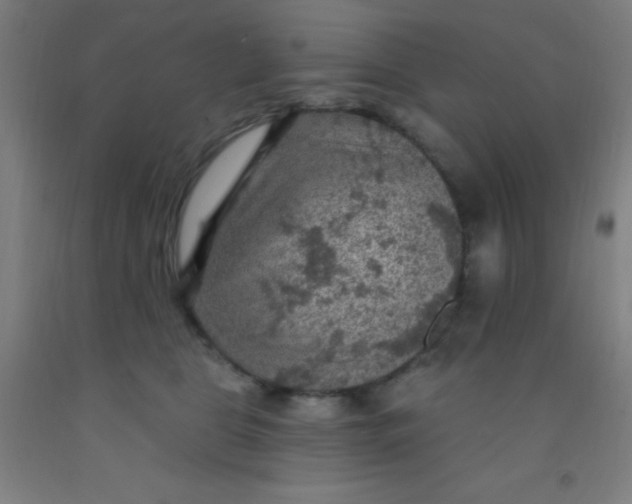 X0000092030469200709271612