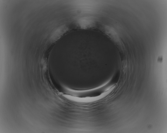 X0000092030471200709271612