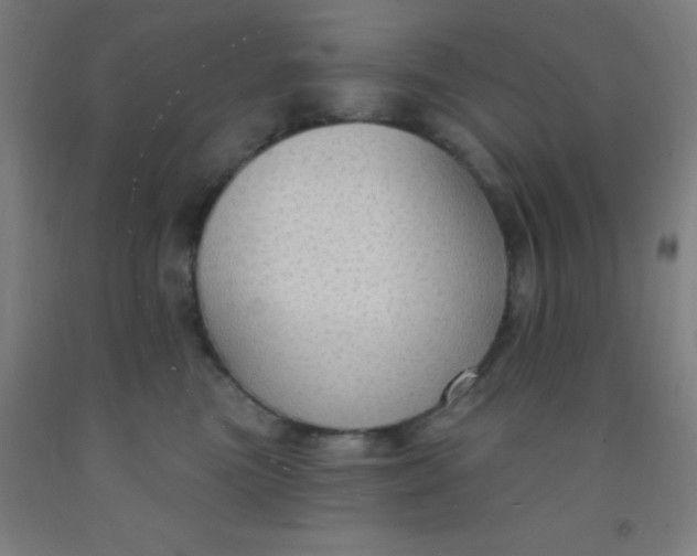 X0000092030473200709271612