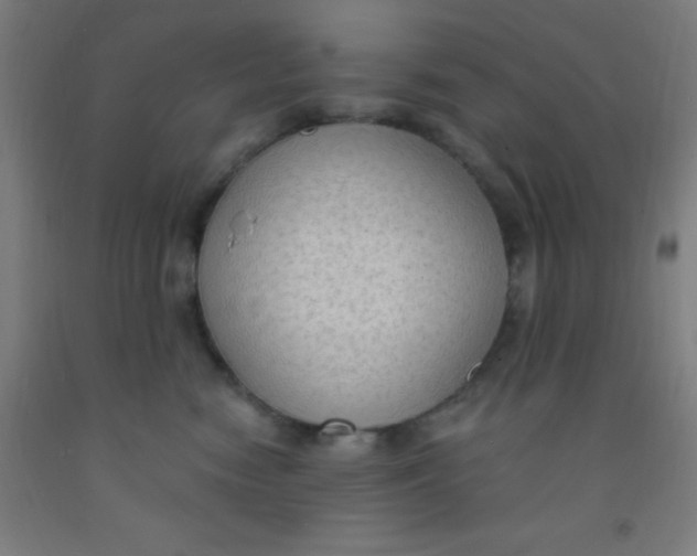 X0000092030474200709271612