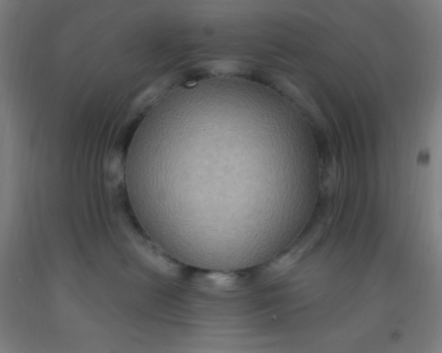 X0000092030478200709271613