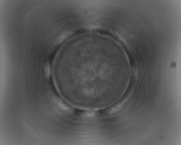 X0000092030479200709271613