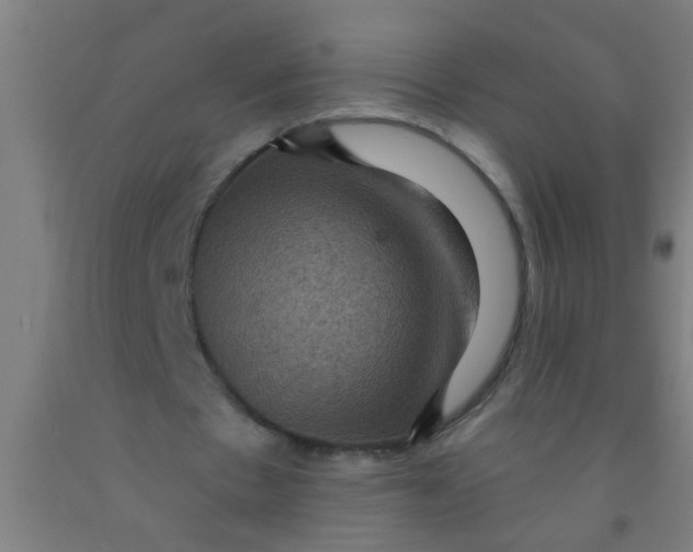 X0000092030481200709271612