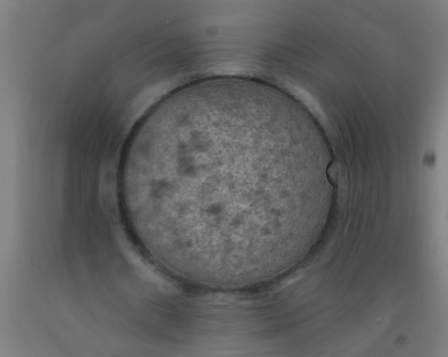 X0000092030482200709271612