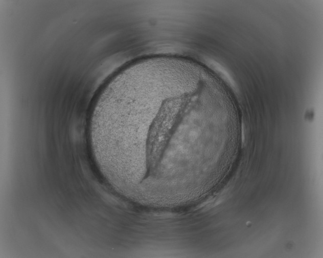 X0000092030483200709271612