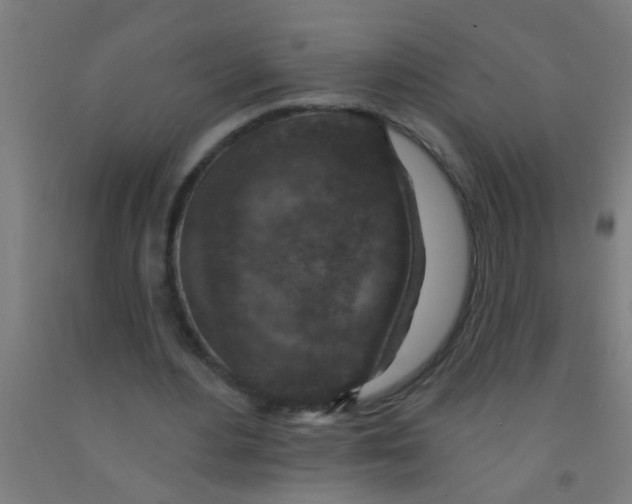 X0000092030484200709271612