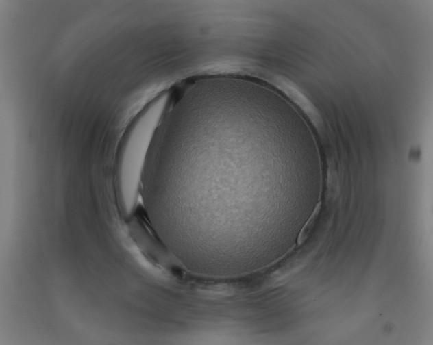 X0000092030485200709271612