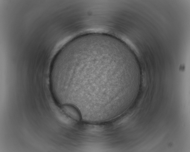 X0000092030486200709271612