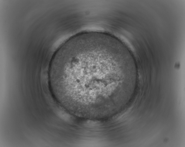 X0000092030487200709271612