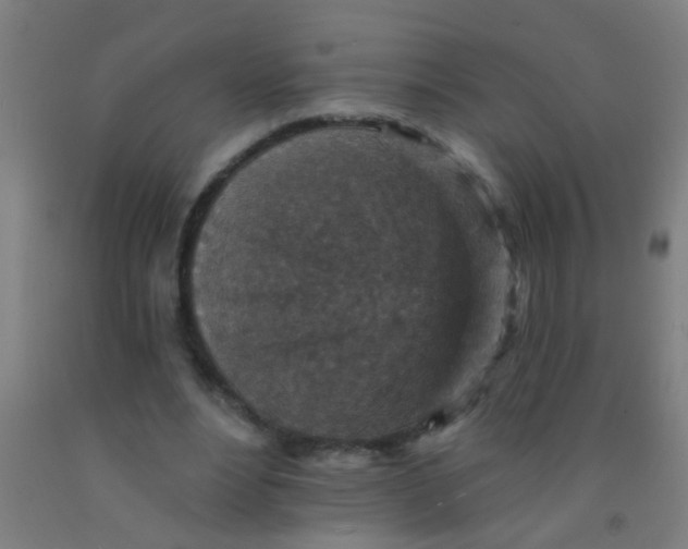 X0000092030488200709271612