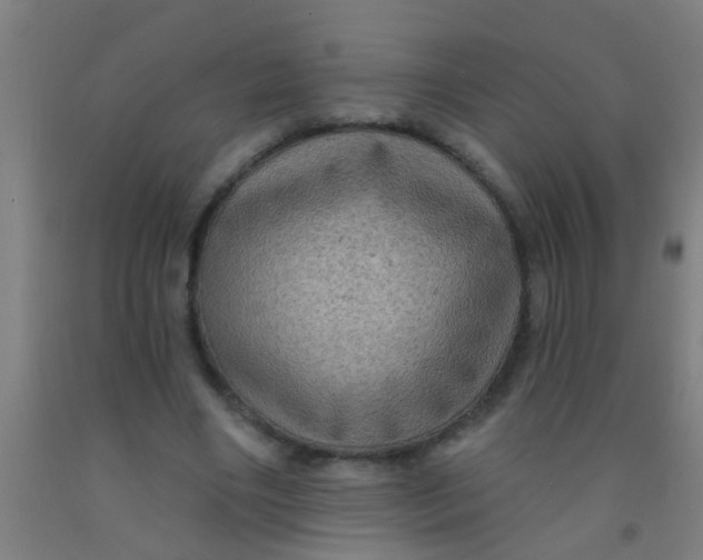 X0000092030490200709271612