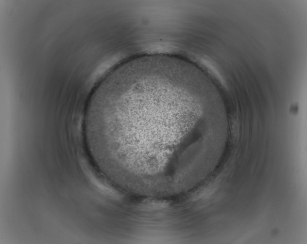 X0000092030491200709271612