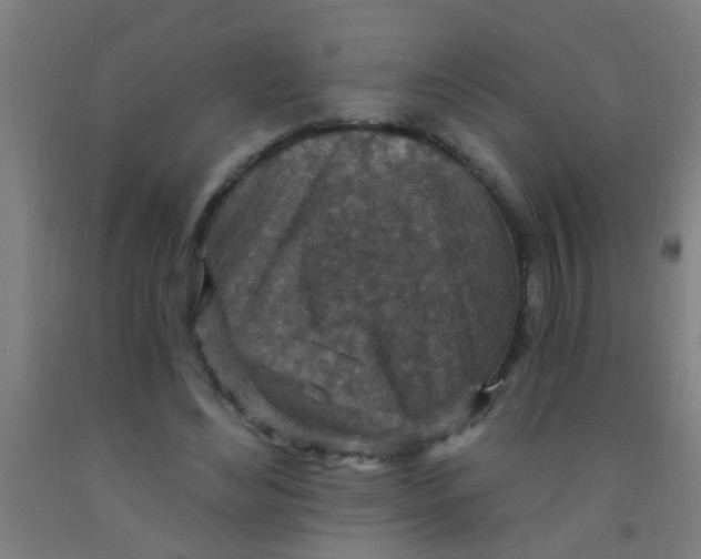 X0000092030492200709271612