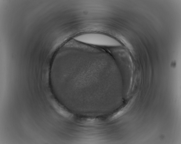 X0000092030493200709271612