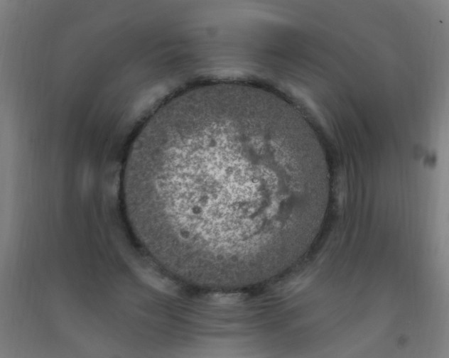 X0000092030495200709271612