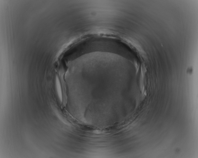 X0000092030496200709271612