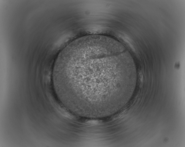 X0000092030499200709271612