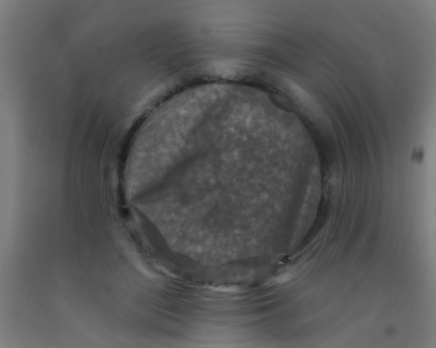 X0000092030500200709271612