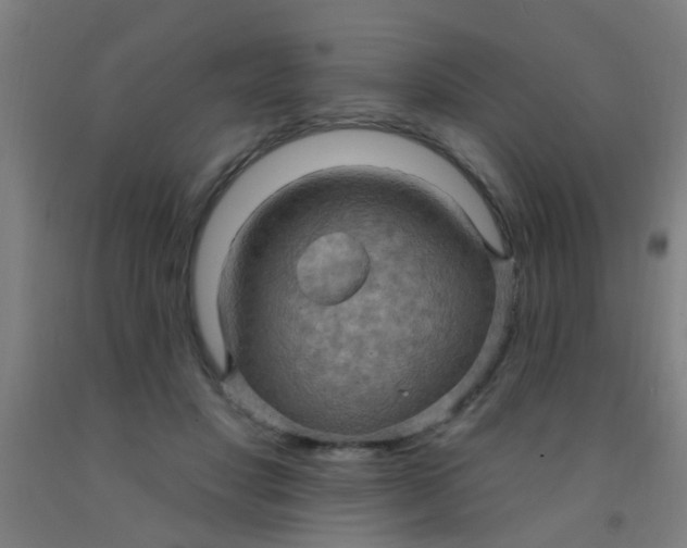 X0000092030501200709271612