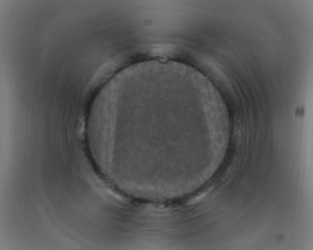 X0000092030502200709271612