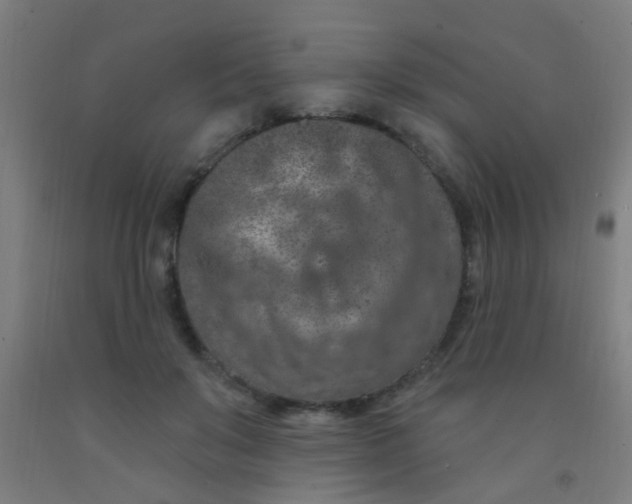 X0000092030503200709271612