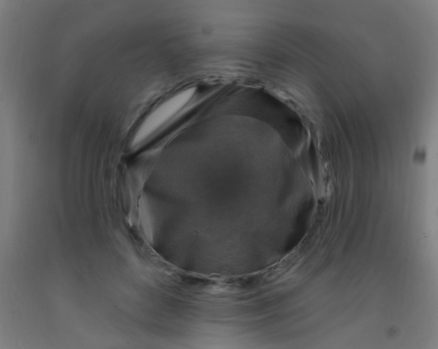 X0000092030504200709271612