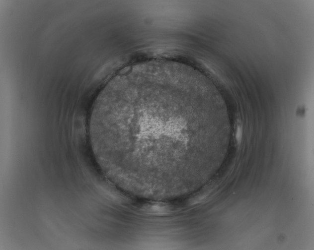 X0000092030506200709271612