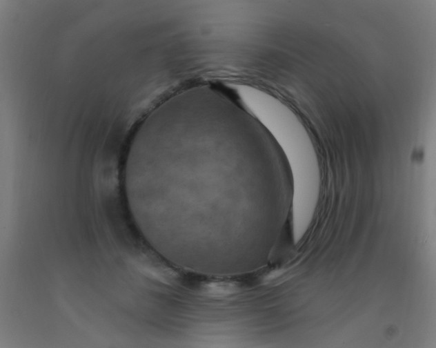 X0000092030508200709271612