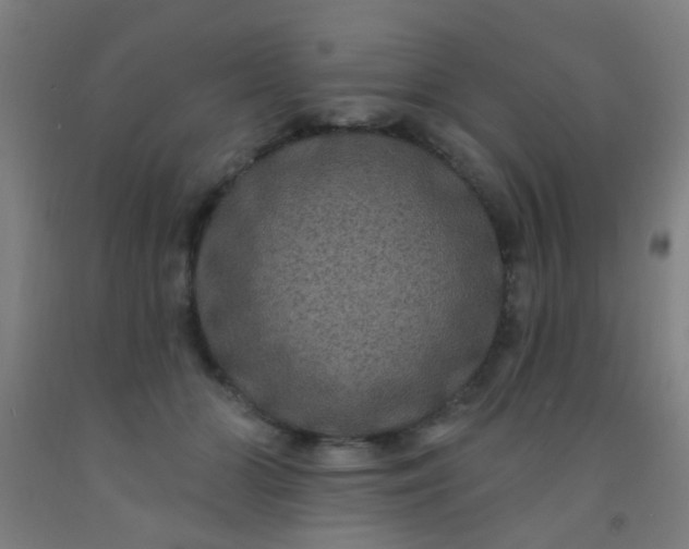 X0000092030510200709271612