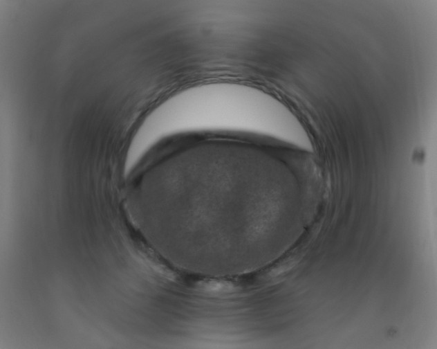 X0000092030512200709271612