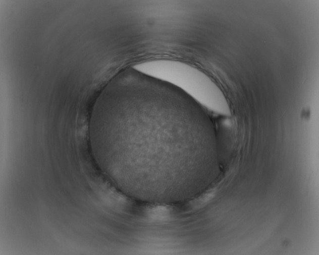 X0000092030513200709271612