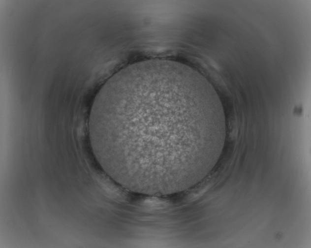 X0000092030515200709271612