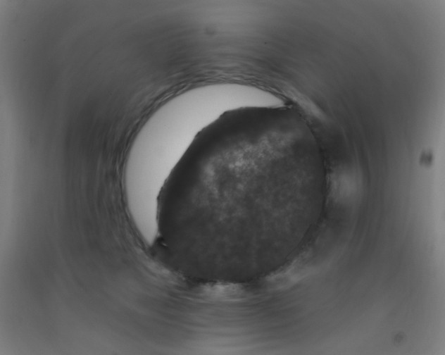 X0000092030517200709271611