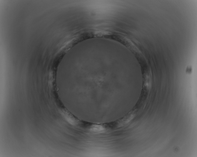 X0000092030519200709271611