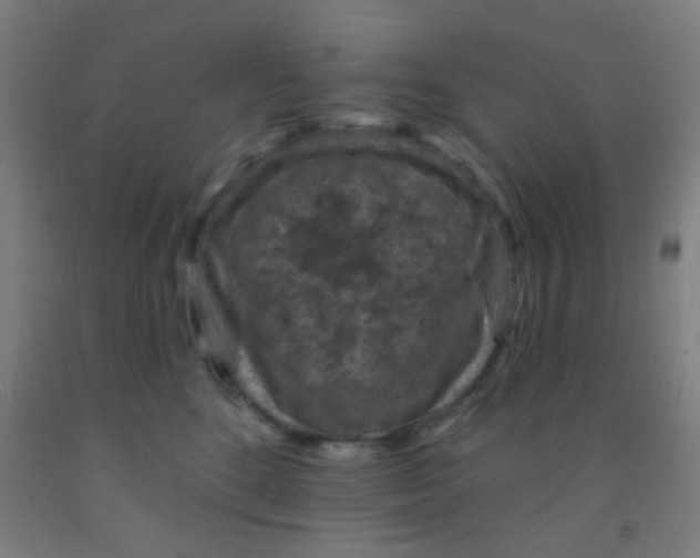 X0000092030520200709271611