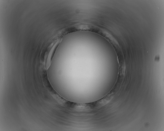 X0000092030521200709271611