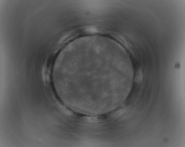 X0000092030524200709271611