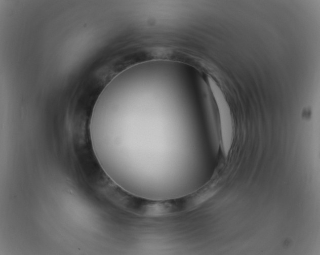 X0000092030525200709271611