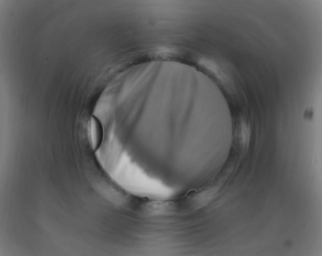 X0000092030526200709271611