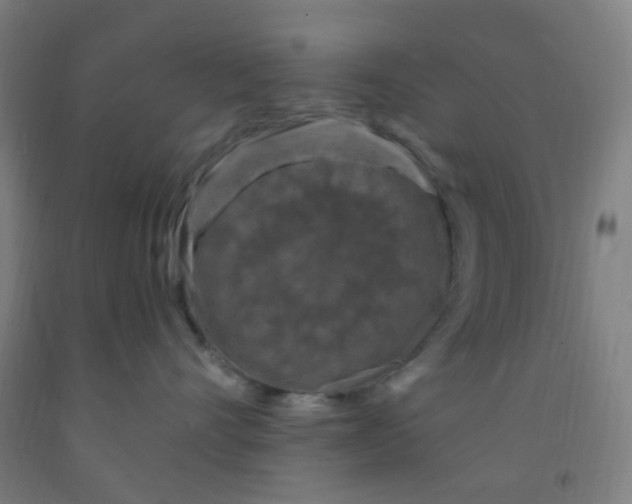 X0000092030528200709271611