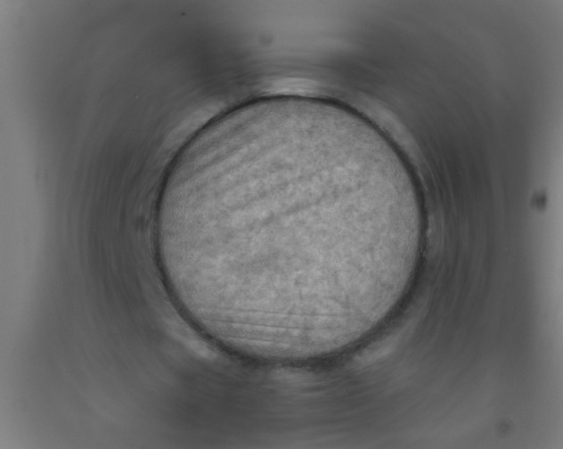 X0000092030529200709271611