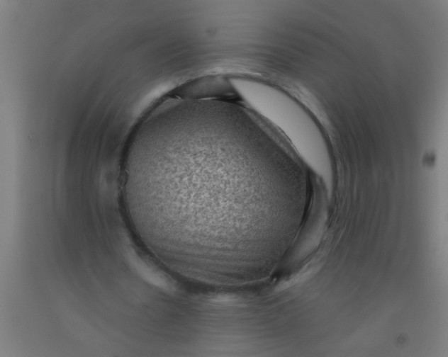 X0000092030530200709271611